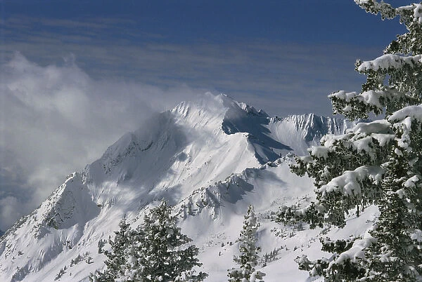 Mount Superior from Little Cottonwood Canyon, Wasatch-Cache National Forest, Utah