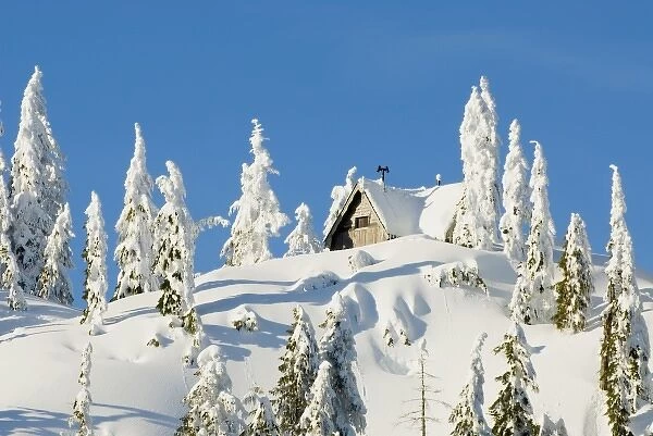 Mountain cabin among snow-laden trees, Seymour Mountain, British Columbia