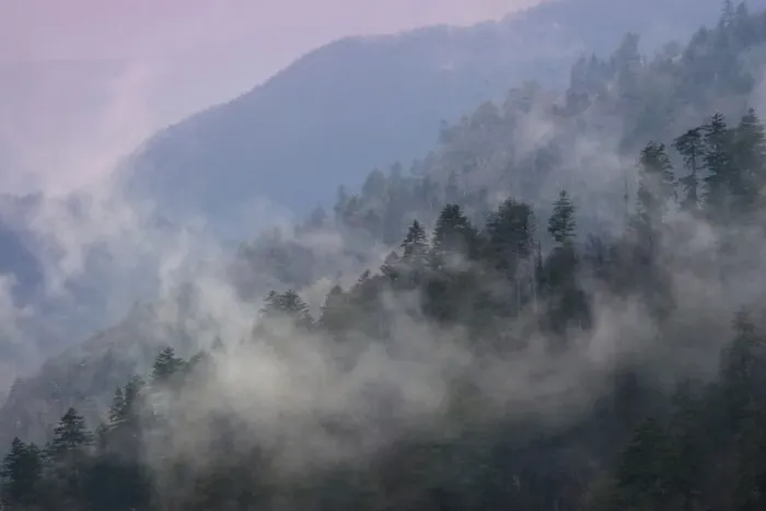 Framed Print : Mountain Clouds at Newfound Gap, Smoky Mountains National Park, Tennessee, USA Framed Print : Mountain Clouds at Newfound Gap, Smoky Mountains National Park, Tennessee, USA