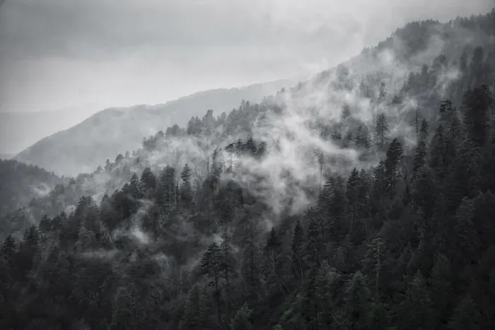 Framed Print : Mountain Clouds at Newfound Gap, Smoky Mountains National Park, Tennessee, USA
