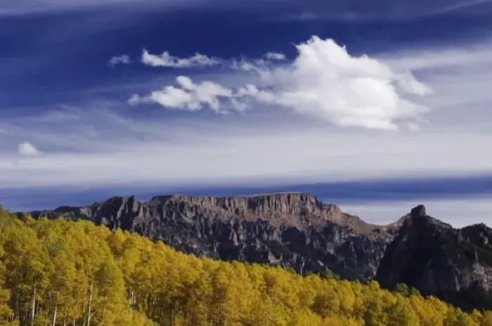Framed Print : Mountain peak and Aspen trees with fall colors, Uncompahgre National Forest, Colorado Framed Print : Mountain peak and Aspen trees with fall colors, Uncompahgre National Forest, Colorado