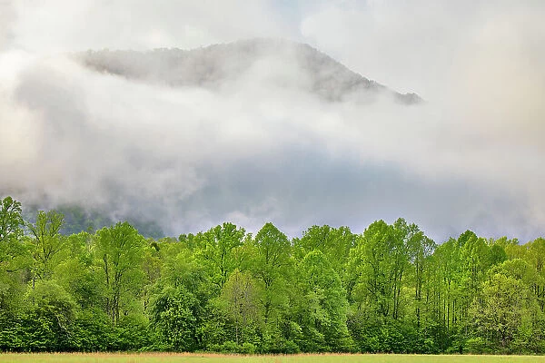 Mountain peak rising through morning mist, Oconaluftee Mountain Farm Museum, Great Smoky Mountains National Park, North Carolina