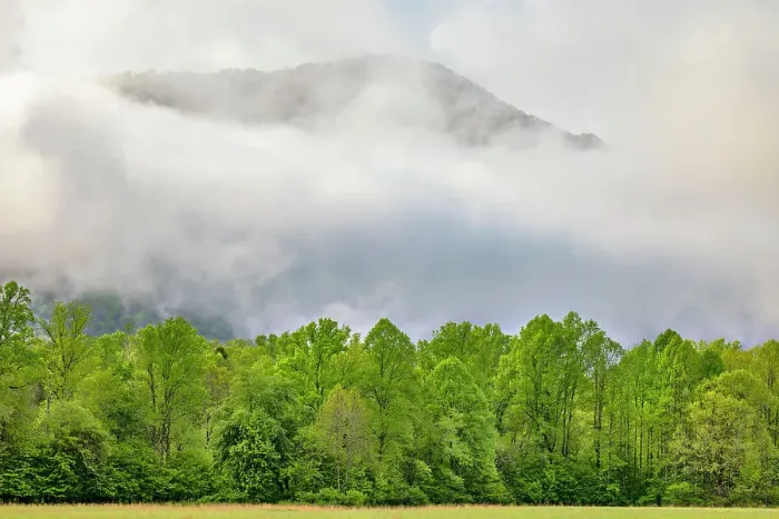 Framed Print : Mountain peak rising through morning mist, Oconaluftee Mountain Farm Museum, Great Smoky Mountains National Park, North Carolina Framed Print : Mountain peak rising through morning mist, Oconaluftee Mountain Farm Museum, Great Smoky Mountains National Park, North Carolina