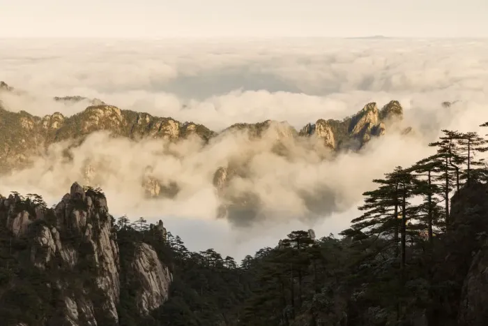 Framed Print : Mountain peaks and mist from above at sunrise, Yellow Mountain or Huangshan Framed Print : Mountain peaks and mist from above at sunrise, Yellow Mountain or Huangshan