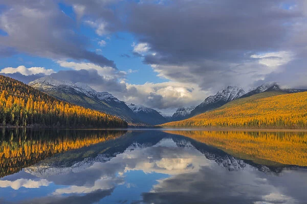 Mountain peaks reflect into Bowman Lake in autumn in Glacier National Park, Montana, USA