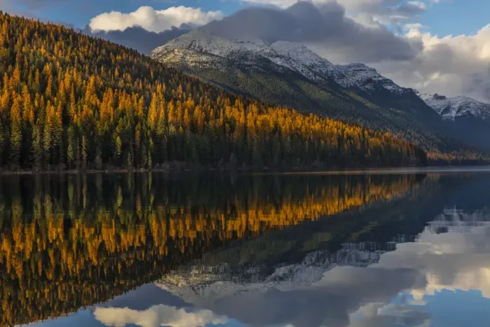 Framed Print : Mountain peaks reflect into Bowman Lake in autumn in Glacier National Park, Montana, USA Framed Print : Mountain peaks reflect into Bowman Lake in autumn in Glacier National Park, Montana, USA