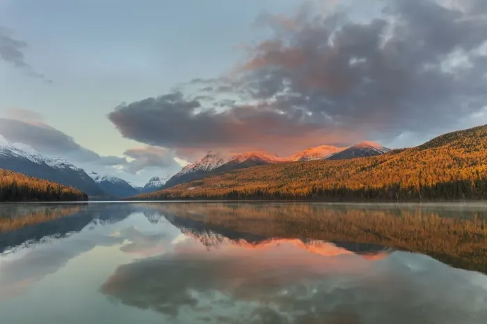 Framed Print : Mountain peaks reflect into Bowman Lake in autumn in Glacier National Park, Montana, USA Framed Print : Mountain peaks reflect into Bowman Lake in autumn in Glacier National Park, Montana, USA