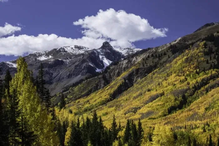 Framed Print : Mountain slope along Million Dollar Highway near Ouray, Colorado covered in autumn Framed Print : Mountain slope along Million Dollar Highway near Ouray, Colorado covered in autumn