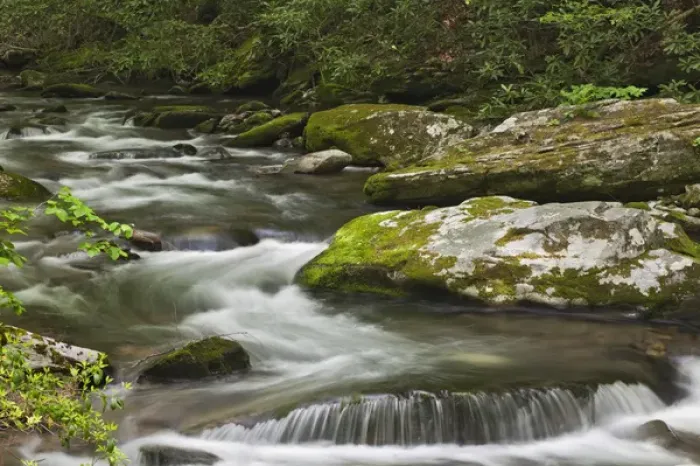 Framed Print : Mountain stream, Great Smoky Mountains National Park, North Carolina Framed Print : Mountain stream, Great Smoky Mountains National Park, North Carolina