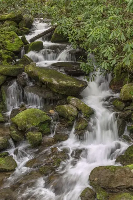 Framed Print : Mountain stream, Great Smoky Mountains National Park, North Carolina Framed Print : Mountain stream, Great Smoky Mountains National Park, North Carolina