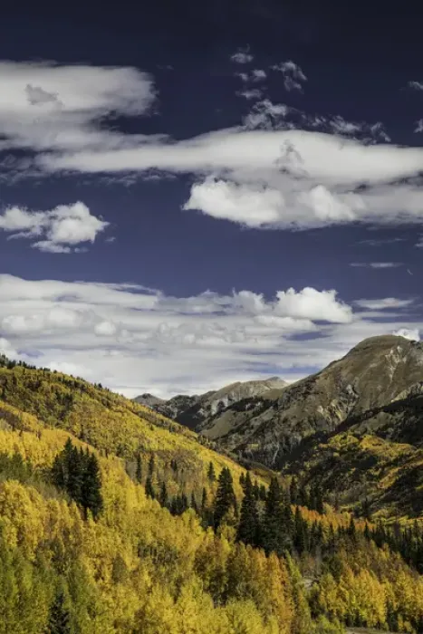 Framed Print : Mountain vista covered in autumn aspen trees, from Million Dollar Highway, near Ouray Framed Print : Mountain vista covered in autumn aspen trees, from Million Dollar Highway, near Ouray