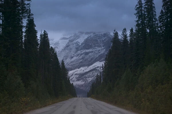 02. CANADA, British Columbia, Yoho National Park  /  Autumn: Mountains and Mist