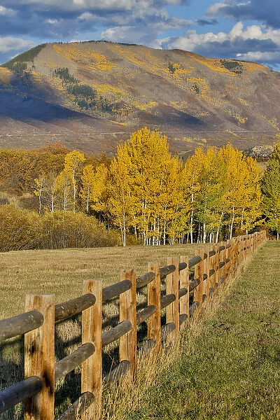 Mountains around Township of Aspen fall along Owl Creek Road with wooden fence autumn