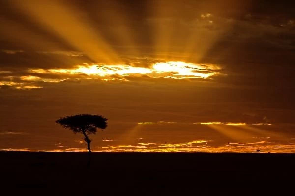 A mouth openning sunrise in the Msai Mara Kenya