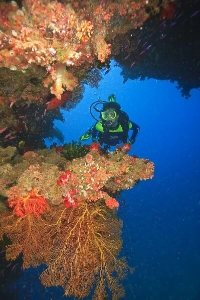 MR Diver near large Soft Coral-lined underwater Arch near Beqa Island off Southern Viti Levu