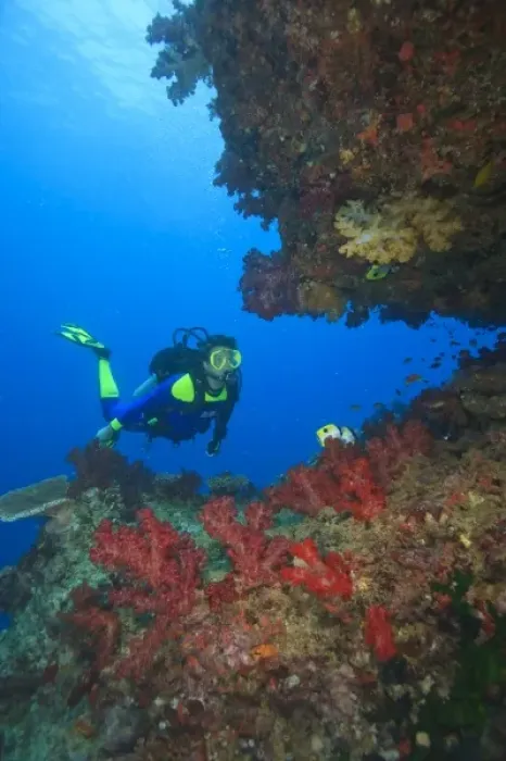 Framed Print : MR Diver near large Soft Coral-lined underwater Arch near Beqa Island off Southern Viti Levu Framed Print : MR Diver near large Soft Coral-lined underwater Arch near Beqa Island off Southern Viti Levu