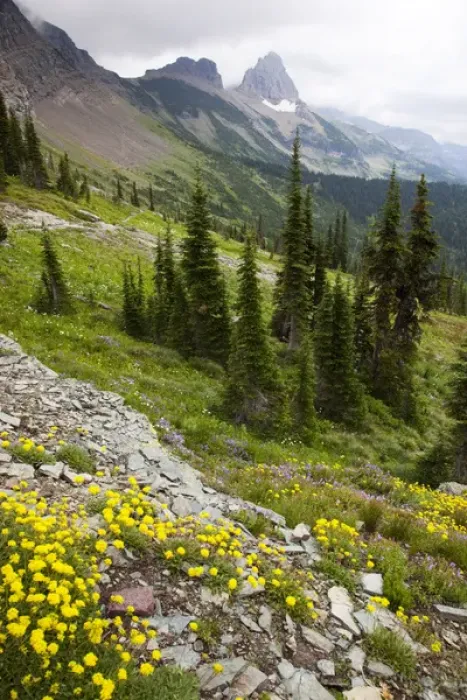 Framed Print : MT, Glacier National Park, View from Highline Trail to Granite Park Chalet Framed Print : MT, Glacier National Park, View from Highline Trail to Granite Park Chalet