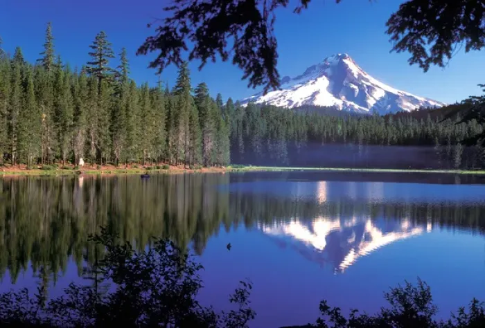 Framed Print : Mt. Hood reflected in Frog Lake, Oregon Framed Print : Mt. Hood reflected in Frog Lake, Oregon