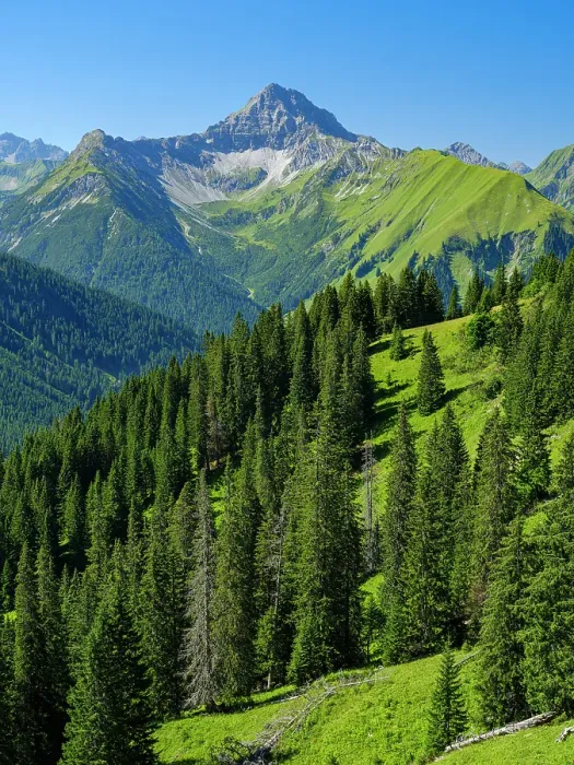 Framed Print : Mt. Namlos Wetterspitze near village Kelmen in the Lechtal Alps. Central Europe, Austria, Tyrol Framed Print : Mt. Namlos Wetterspitze near village Kelmen in the Lechtal Alps. Central Europe, Austria, Tyrol