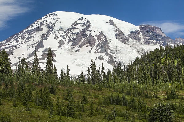 Mt Rainer and Forested Morraines as seen from Paradise Meadows, Mt. Rainier National Park