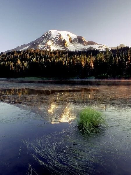 Mt. Rainier is captured in Reflection Lake at peak of summer