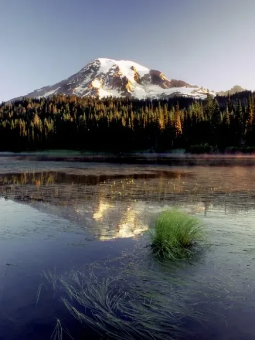 Framed Print : Mt. Rainier is captured in Reflection Lake at peak of summer Framed Print : Mt. Rainier is captured in Reflection Lake at peak of summer