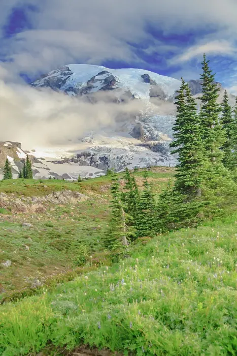 Framed Print : Mt. Rainier within the national park