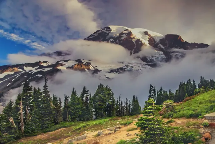 Framed Print : Mt. Rainier within the national park Framed Print : Mt. Rainier within the national park