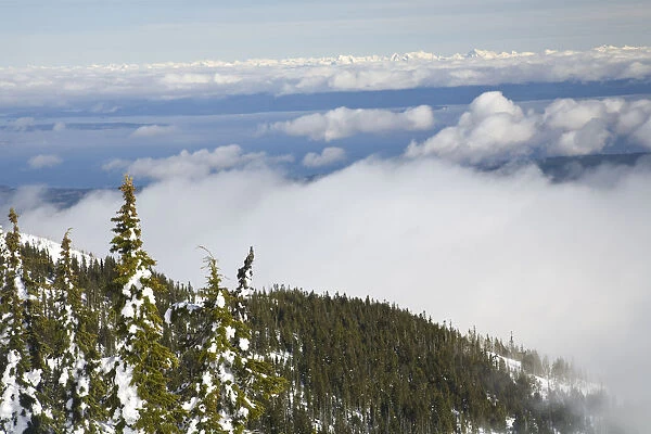 Mt. Washington Ski Resort bordering Strathcona Provincial Park (BCs oldest park