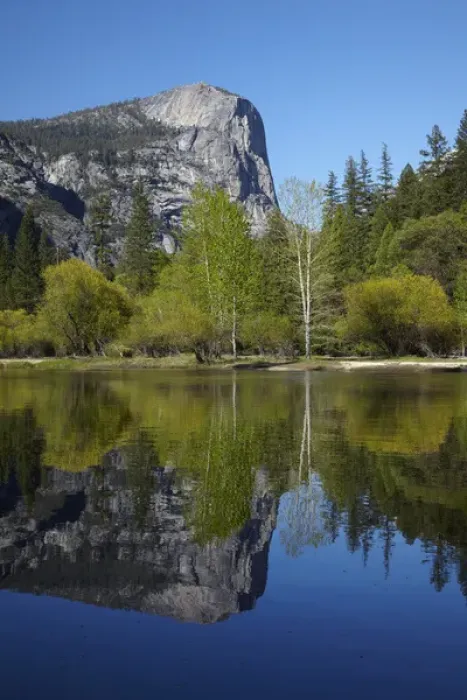 Framed Print : Mt Watkins reflected in Mirror Lake, Yosemite National Park, California, USA Framed Print : Mt Watkins reflected in Mirror Lake, Yosemite National Park, California, USA