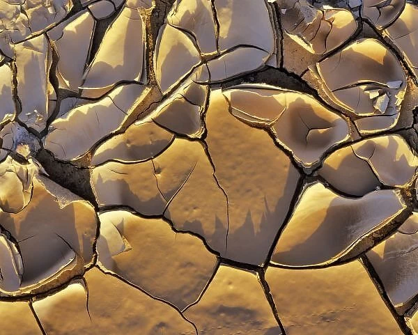 Mud Cracks in Death Valley National Park in California