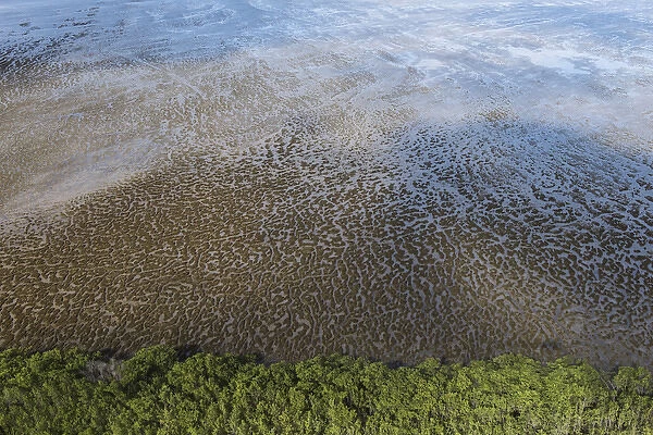 Mud patterns on beach East coast GUYANA South America