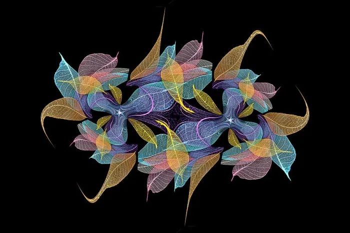 Framed Print : Multi-colored skeleton leaves arranged on black background Framed Print : Multi-colored skeleton leaves arranged on black background