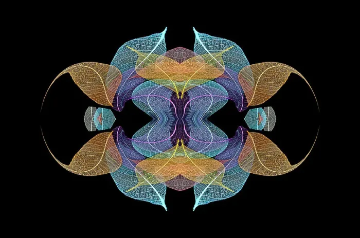 Framed Print : Multi-colored skeleton leaves arranged on black background