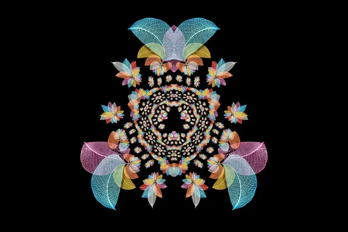 Framed Print : Multi-colored skeleton leaves arranged on black background Framed Print : Multi-colored skeleton leaves arranged on black background