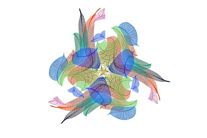 Framed Print : Multi-colored skeleton leaves arranged on white background