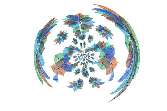 Framed Print : Multi-colored skeleton leaves arranged on white background