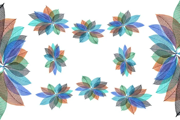 Framed Print : Multi-colored skeleton leaves arranged on white background Framed Print : Multi-colored skeleton leaves arranged on white background