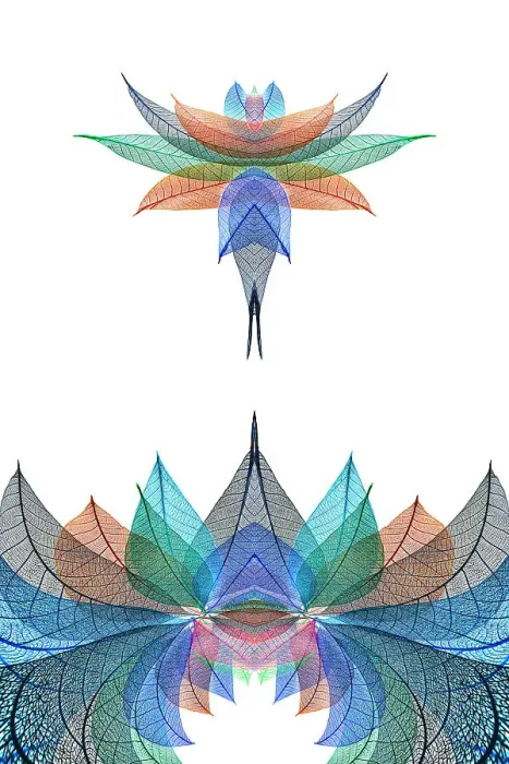 Framed Print : Multi-colored skeleton leaves arranged on white background Framed Print : Multi-colored skeleton leaves arranged on white background