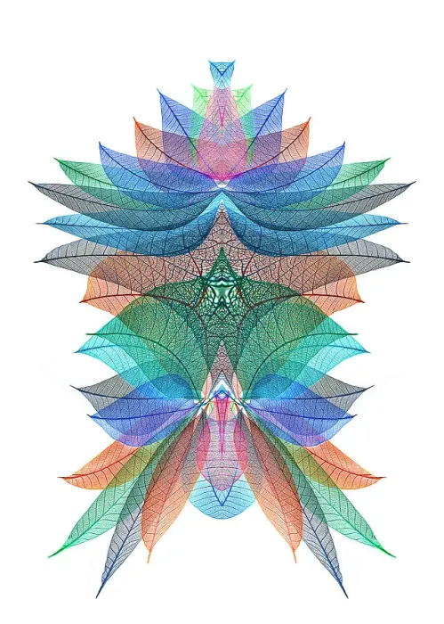 Framed Print : Multi-colored skeleton leaves arranged on white background Framed Print : Multi-colored skeleton leaves arranged on white background