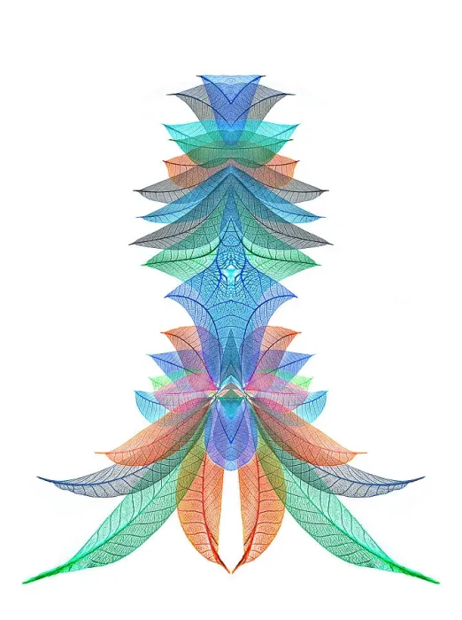 Framed Print : Multi-colored skeleton leaves arranged on white background