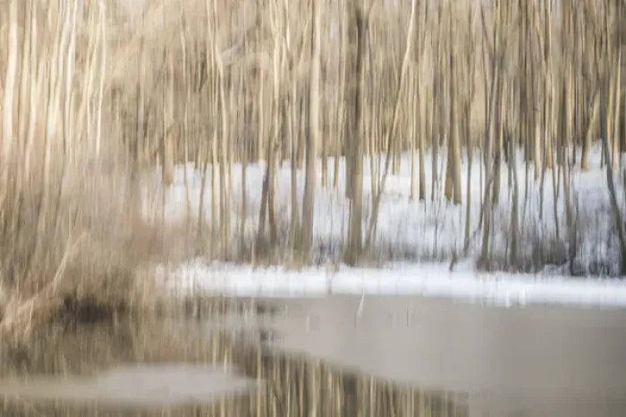 Framed Print : Multiple-exposure of trees in winter snow, and water, Eagle Creek Park, Indianapolis