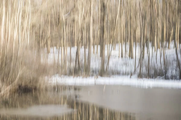 Multiple-exposure of trees in winter snow, and water, Eagle Creek Park, Indianapolis