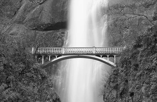 Multnomah Falls and bridge, Mount Hood National Forest, Columbia Gorge National Scenic Area