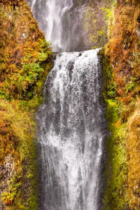 Framed Print : Multnomah Falls Waterfall Autumn, Fall Columbia River Gorge, Oregon, Pacific Northwest Framed Print : Multnomah Falls Waterfall Autumn, Fall Columbia River Gorge, Oregon, Pacific Northwest