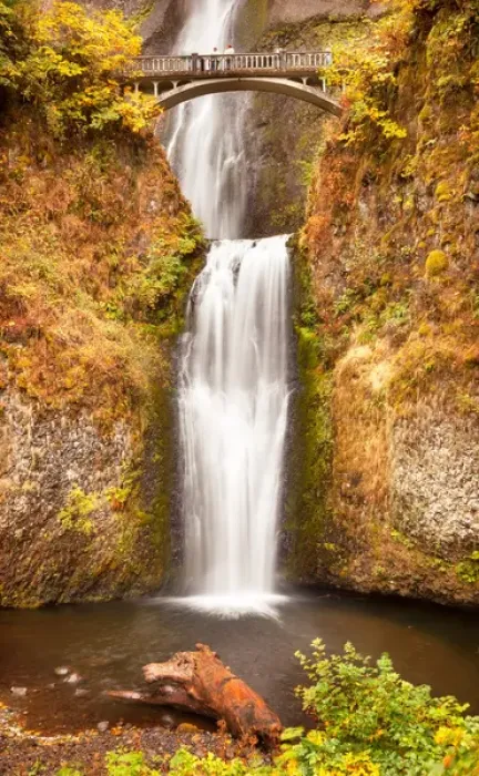 Framed Print : Multnomah Falls Waterfall Autumn, Fall Bridge Columbia River Gorge, Oregon, Pacific Framed Print : Multnomah Falls Waterfall Autumn, Fall Bridge Columbia River Gorge, Oregon, Pacific