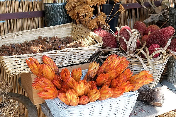Munich, Germany. Farmers market. Fall dried flowers