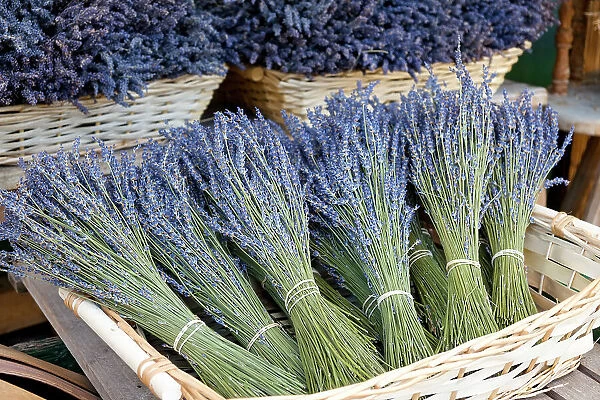 Munich, Germany. Farmers market. Basket of dried lavender