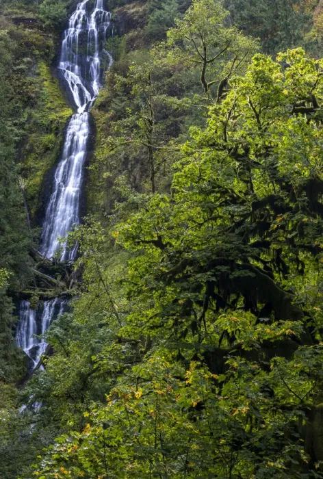 Framed Print : Munson Creek Falls near Tillamook, Oregon, USA Framed Print : Munson Creek Falls near Tillamook, Oregon, USA