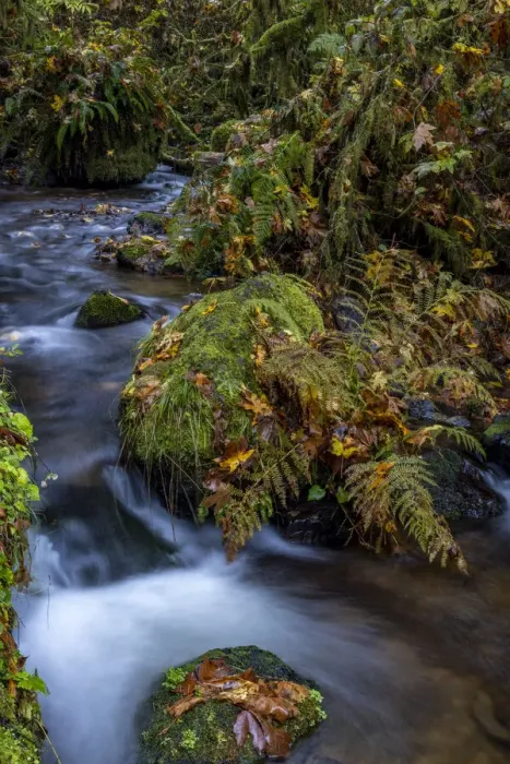 Framed Print : Munson Creek Falls State Natural Site in autumn near Tillamook, Oregon, USA Framed Print : Munson Creek Falls State Natural Site in autumn near Tillamook, Oregon, USA